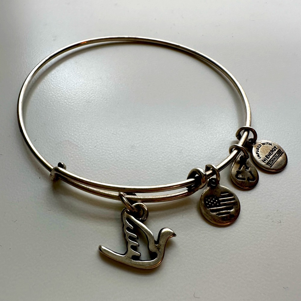 Alex n Ani silver bangle bracelet with bird charm